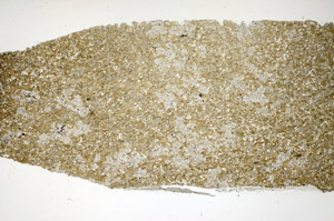 Plane Polarized, S84873