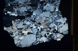 Cross Polarized, S84874