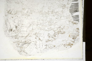 Plane Polarized, S84874