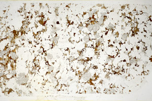 Plane Polarized, S84878