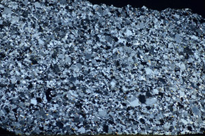 Cross Polarized, S84879