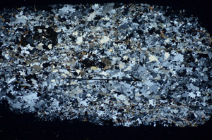 Cross Polarized, S84880