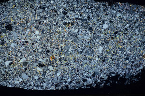 Cross Polarized, S84881