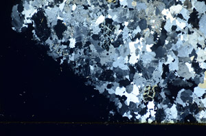 Cross Polarized, S84888