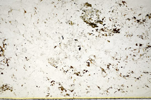 Plane Polarized, S84892