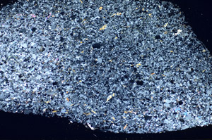 Cross Polarized, S84894
