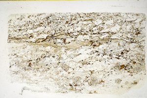 Plane Polarized, S84895