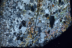 Cross Polarized, S84898