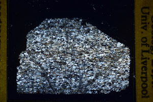 Cross Polarized, S84899