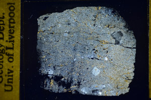 Cross Polarized, S84901