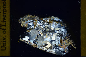 Cross Polarized, S84902