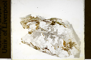 Plane Polarized, S84902