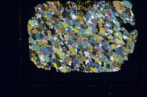 Cross Polarized, S84903