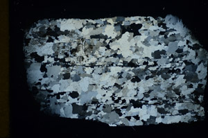 Cross Polarized, S84905