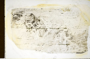 Plane Polarized, S84905