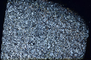 Cross Polarized, S84906