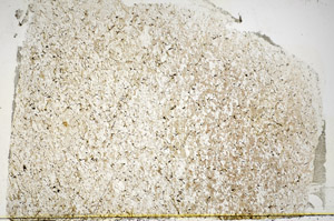 Plane Polarized, S84906