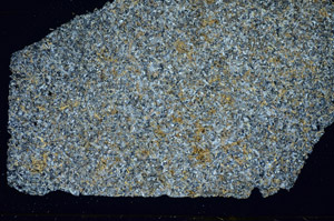 Cross Polarized, S84907