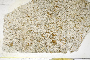 Plane Polarized, S84907