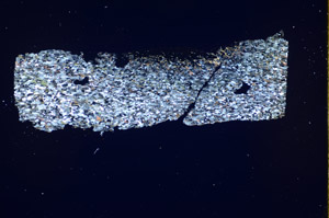 Cross Polarized, S84908