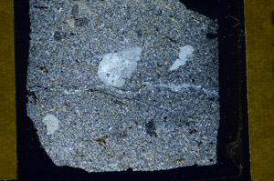 Cross Polarized, S84909