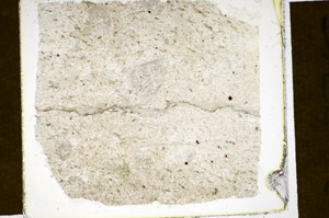 Plane Polarized, S84909