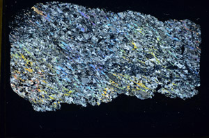 Cross Polarized, S84910