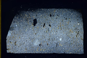 Cross Polarized, S84911