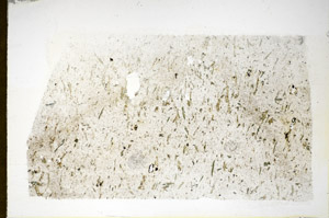 Plane Polarized, S84911