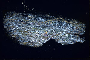 Cross Polarized, S84913