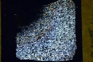 Cross Polarized, S84914