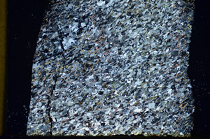 Cross Polarized, S84916