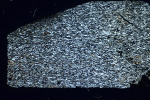 Cross Polarized, S84917