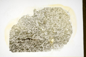 Plane Polarized, S84918