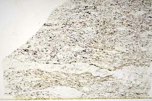 Plane Polarized, S84919