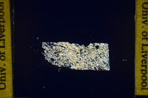 Cross Polarized, S84922