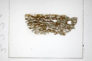 Plane Polarized, S84923