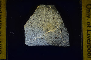 Cross Polarized, S84924