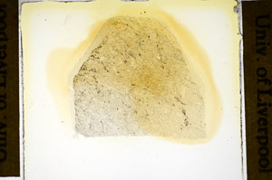 Plane Polarized, S84924