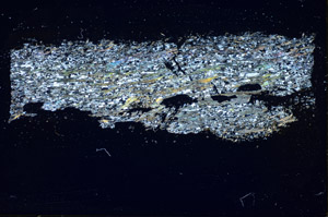 Cross Polarized, S84925