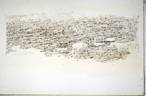 Plane Polarized, S84925