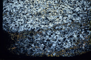 Cross Polarized, S84933