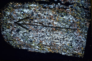 Cross Polarized, S84939