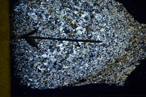 Cross Polarized, S84942