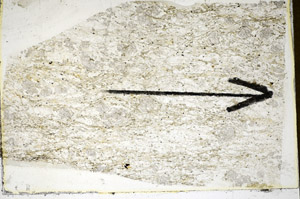 Plane Polarized, S84943