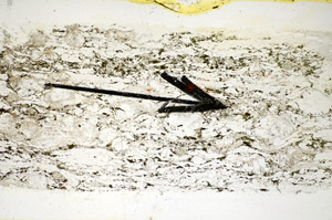Plane Polarized, S84949