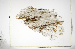 Plane Polarized, S84955