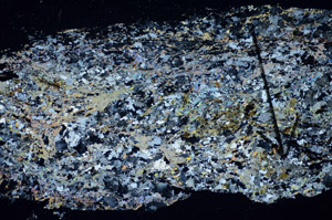 Cross Polarized, S84959