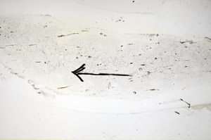 Plane Polarized, S84963