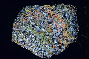 Cross Polarized, S84967